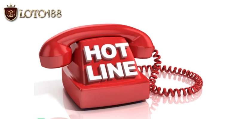 Liên hệ đường dây nóng